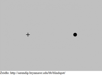 Test na plamkę żółtą